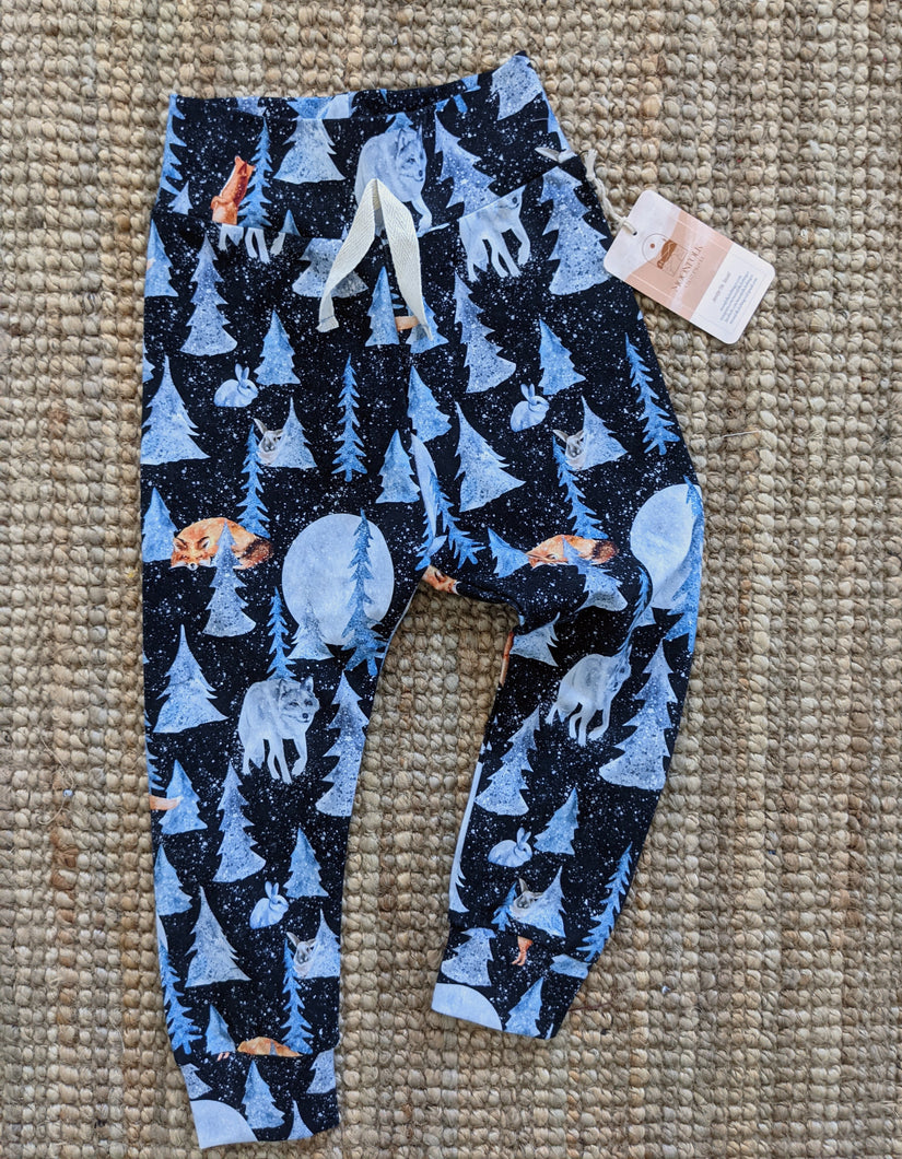 Winter Night joggers