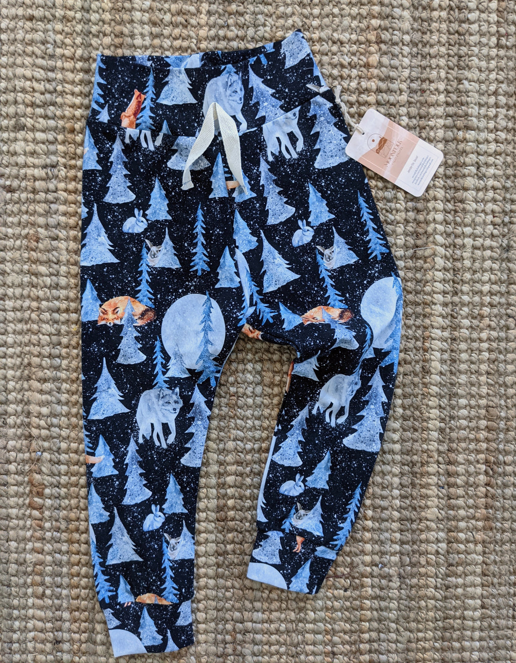 Winter Night joggers