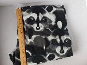 Raccoons- CL- 60x32" + 31x27"